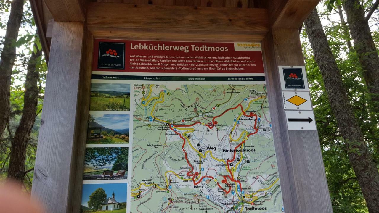 Ferienwohnung Im Schwarzwald ทอดท์โมส ภายนอก รูปภาพ