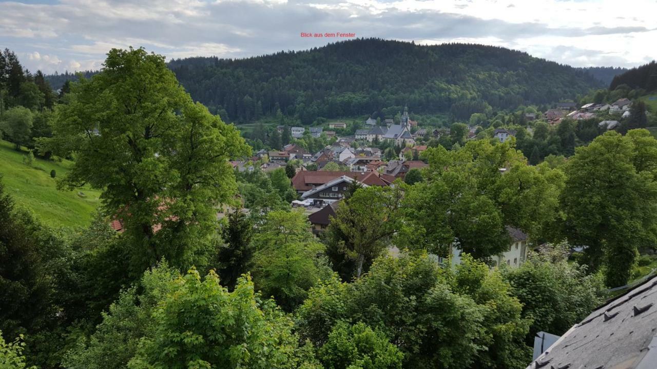 Ferienwohnung Im Schwarzwald ทอดท์โมส ภายนอก รูปภาพ