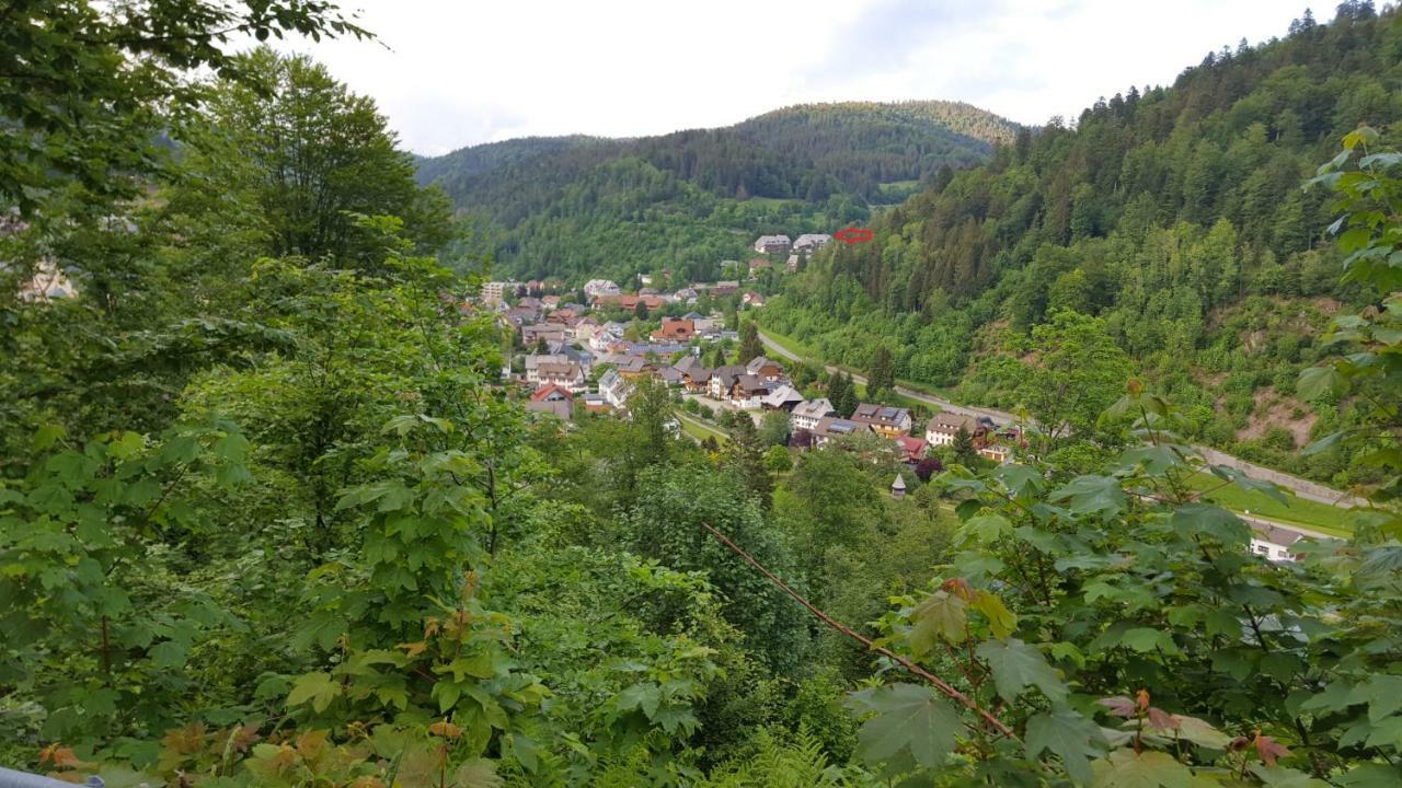 Ferienwohnung Im Schwarzwald ทอดท์โมส ภายนอก รูปภาพ